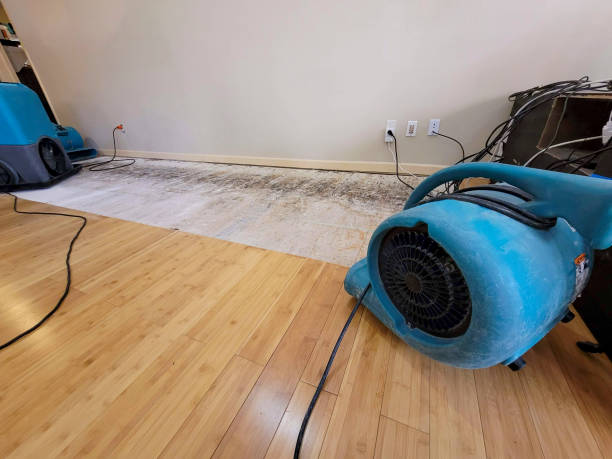 Professional Water Damage Repair technician working in Glandorf, OH